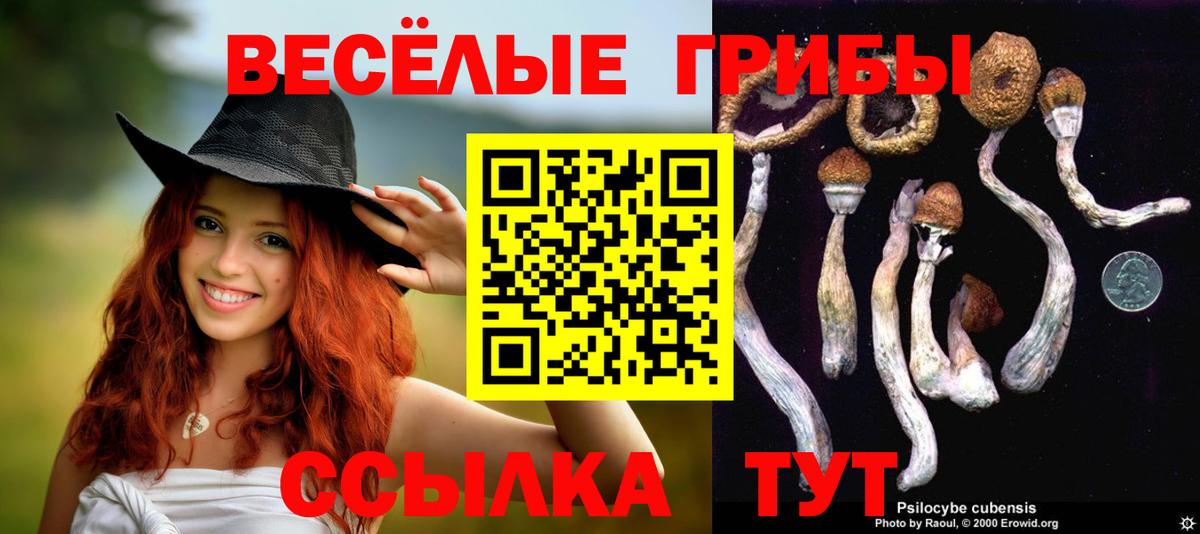 Коркино  как найти закладки  Вход с VPN  Галлюциногенные грибы Psilocybe  Псилоцибиновые грибы GOLDEN TEACHER 